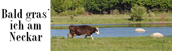 Bald Gras Ich Am Neckar